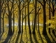 Autumn Forest