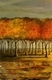 Burning Trees