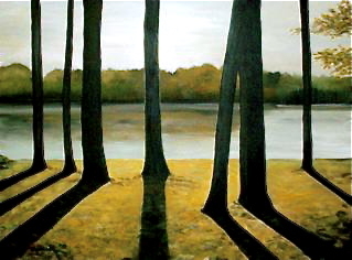 Cottage Shadows