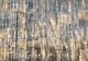 fullsizeoutput 2f3d
