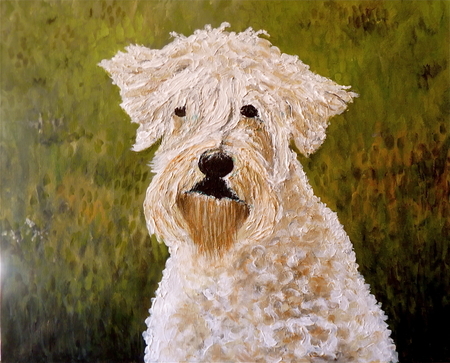 Riley   commission