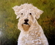 Riley   commission
