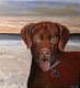 Charlie on the Beach at Sunrise  Commission