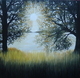 Without Darkness There Is No Light