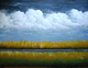 Yellow Field