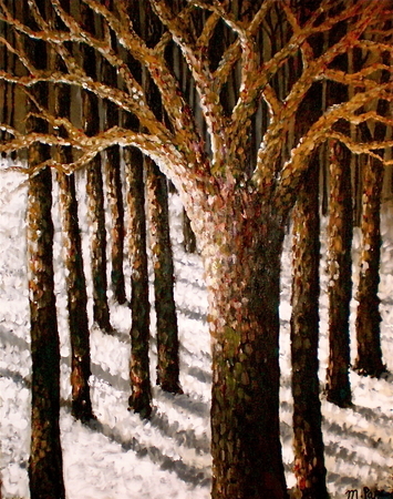 The Enchanted Forest
