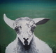 Gabriella's Lamb