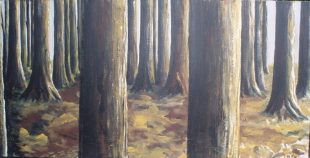Tree Trunks