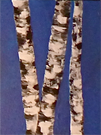 11"x14"  Birch on Blue