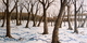 'Winter Tree Garden' 28"30"