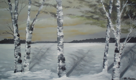 Winter on Lake of Bays