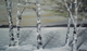 Winter on Lake of Bays