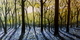 'Maria's Garden' 18"x30"