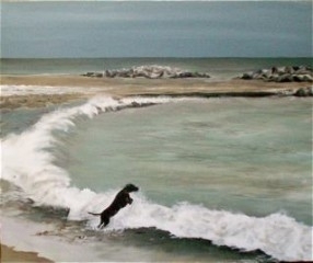 Our Beach