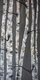 P1060695