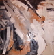P1110150