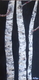 P1120886
