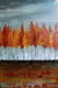 2'x3' Burning Bushes