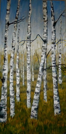 Tall Birch 2'x4'