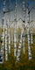 Tall Birch 2'x4'