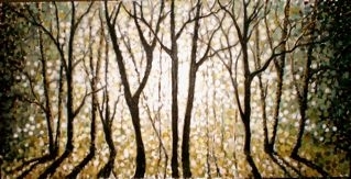 Polka Dot Forest