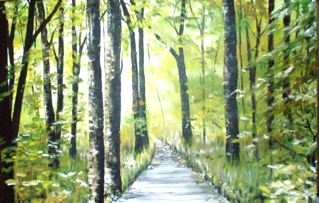 The Green Forest