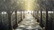 The Path