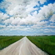 The Road