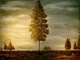 Twilight Tree