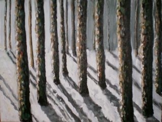 Winter Shadows